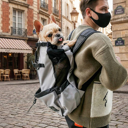 French Bulldog riding in the Urban Grey head-out dog carrier backpack on a city street.