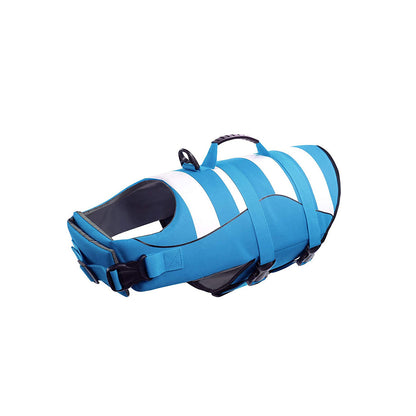 Blue and white dog life jacket with rescue handle, black buckles, and adjustable straps on a white background.