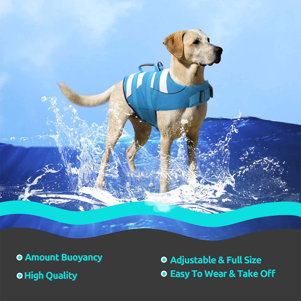 Yellow Labrador wearing a blue high visibility dog life jacket with rescue handle stands in splashing water against a blue sky.