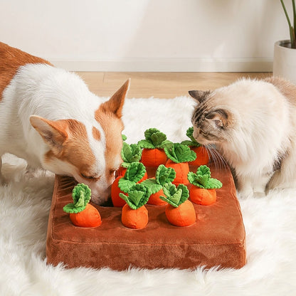 Small Corgi and fluffy cat sniff an interactive carrot patch dog puzzle toy on a white rug in a bright indoor room.