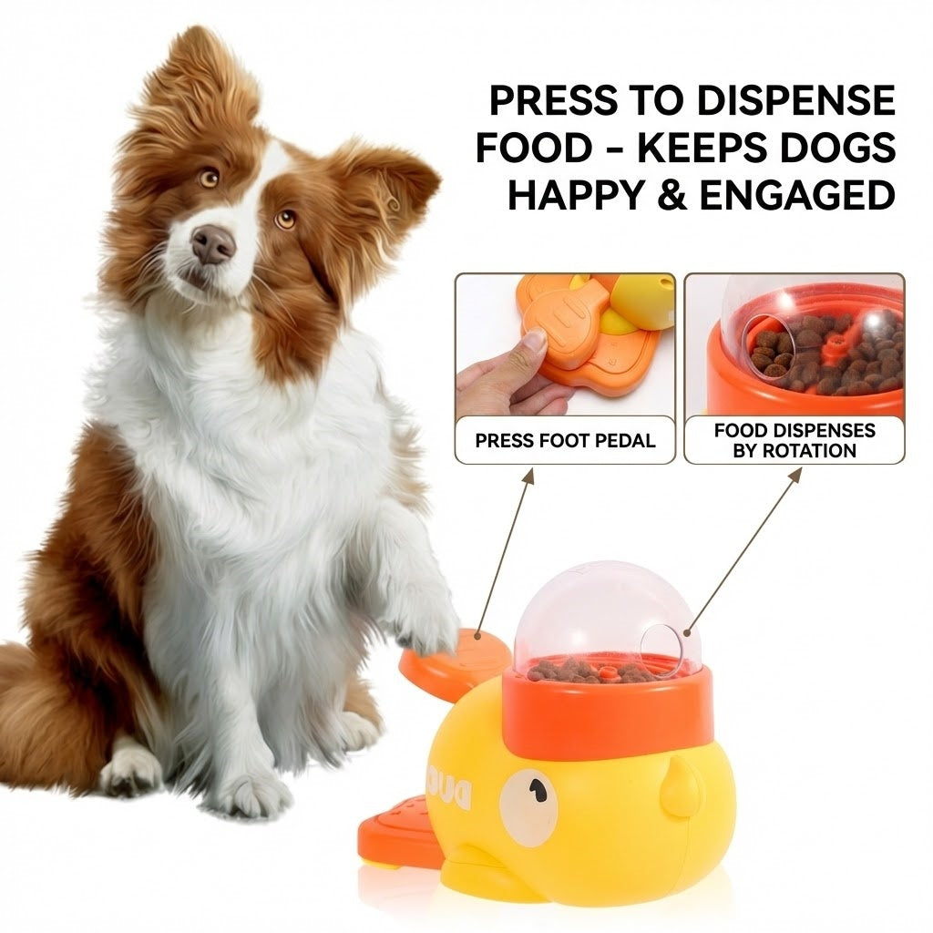 Brown-and-white Border Collie beside an orange and yellow interactive duck puzzle toy treat dispenser on a white background.