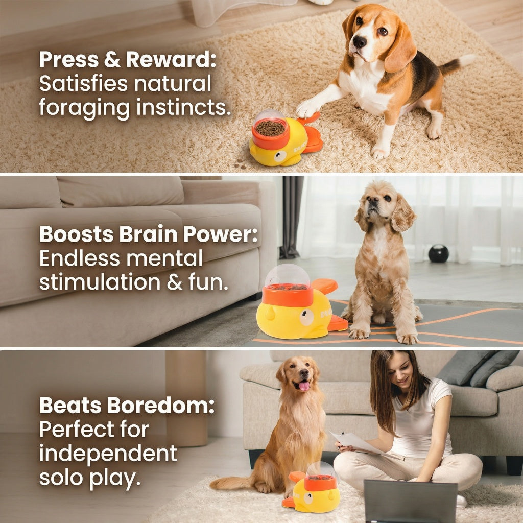Three lifestyle scenes show a beagle, spaniel and golden retriever with a yellow duck puzzle toy and treat dispenser.