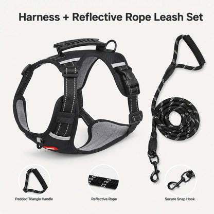 Black control-handle dog harness with matching 339 reflective rope leash and feature callouts