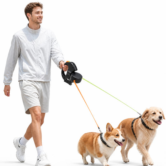 Man walking two dogs with black dual dog retractable leash on white background