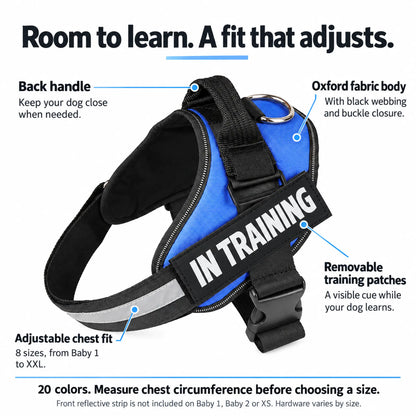 Blue IN TRAINING dog harness features: removable patches, adjustable fit, back handle and Oxford fabric