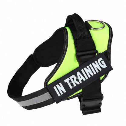 Neon Green adjustable dog harness with IN TRAINING patch, back handle and black straps