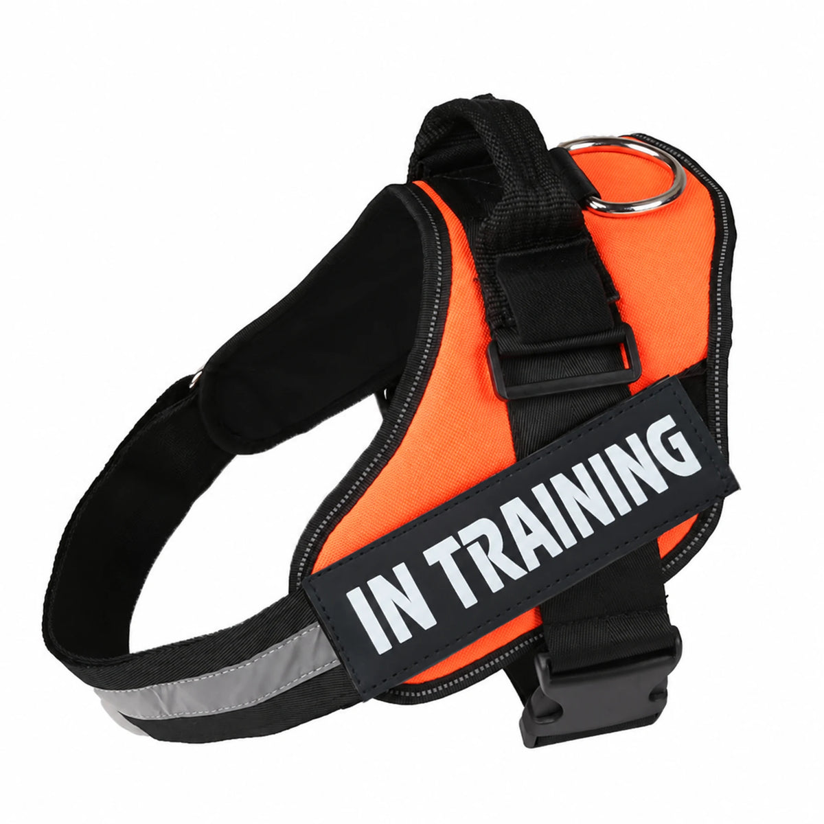 Orange adjustable dog harness with IN TRAINING patch, back handle and black straps