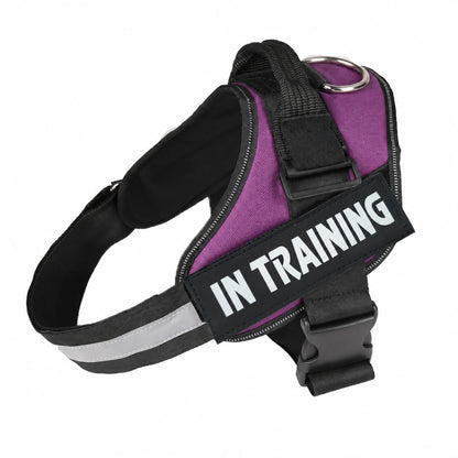 Purple adjustable dog harness with IN TRAINING patch, back handle and black straps