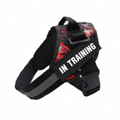 Red Camo adjustable dog harness with IN TRAINING patch, back handle and black straps