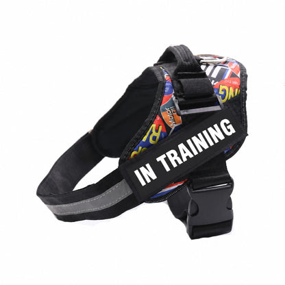 Red Graffiti adjustable dog harness with IN TRAINING patch, back handle and black straps