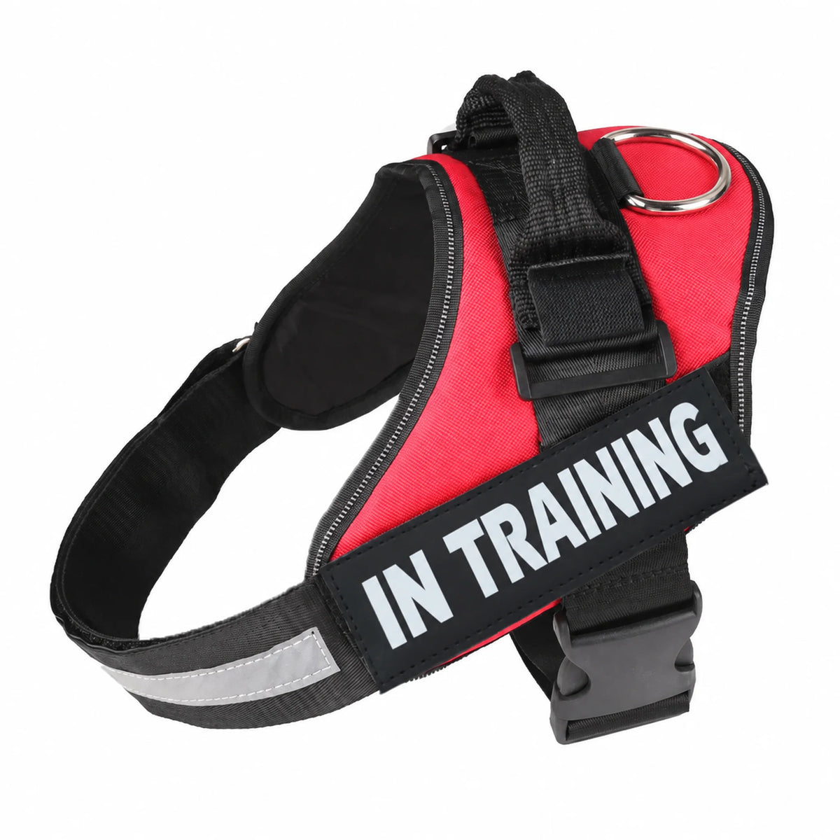 Red adjustable dog harness with IN TRAINING patch, back handle and black straps