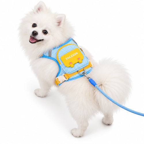 White Pomeranian wearing the sky blue backpack dog harness with yellow flap and matching rope leash