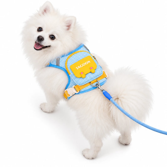 White Pomeranian wearing the sky blue backpack dog harness with yellow flap and matching rope leash