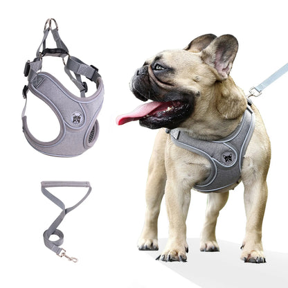 Gray vest-style dog harness with matching leash and French Bulldog wearing the harness