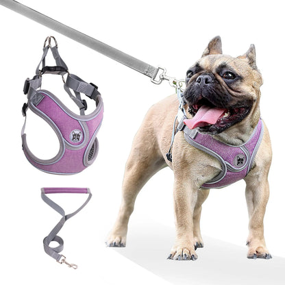 Purple vest-style dog harness with matching leash and French Bulldog wearing the harness