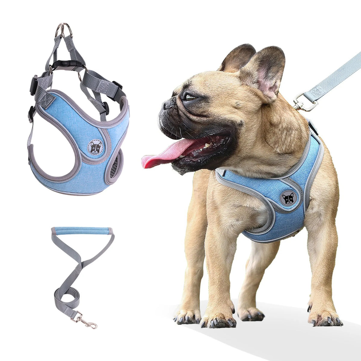 Sky blue vest-style dog harness with matching leash and French Bulldog wearing the harness