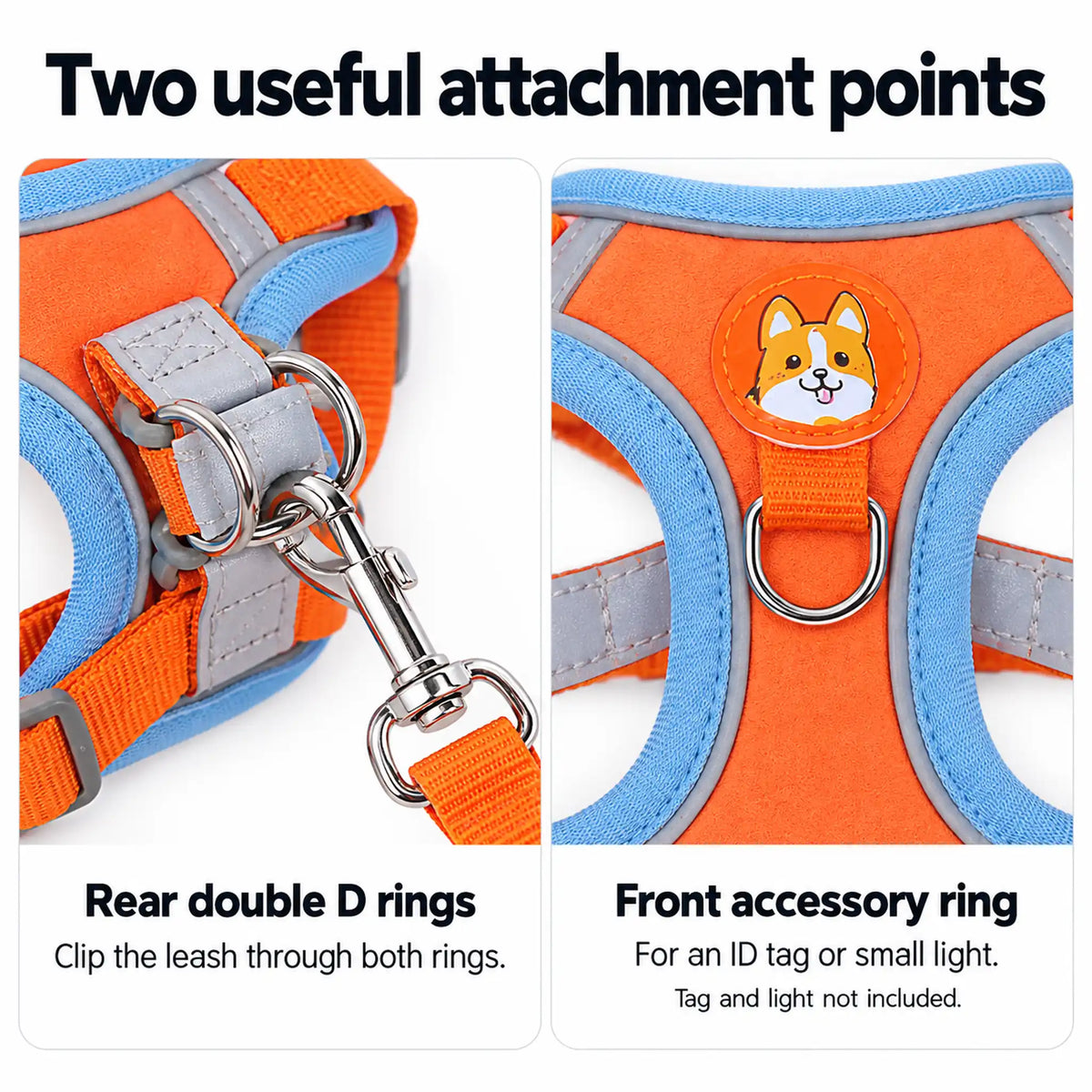 Rear double D rings for leash attachment and a separate front ring for an ID tag or small light.