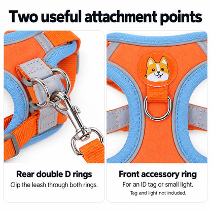 Rear double D rings for leash attachment and a separate front ring for an ID tag or small light.
