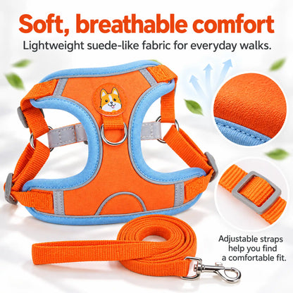 Orange harness and leash showing soft suede-like fabric, bound edges and adjustable straps.
