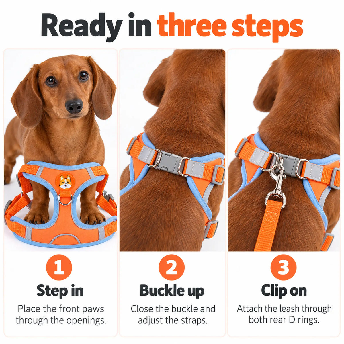 Three-step dog harness guide: place front paws through the openings, close the buckle and clip the leash through both rear D rings.
