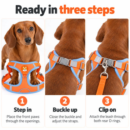 Three-step dog harness guide: place front paws through the openings, close the buckle and clip the leash through both rear D rings.