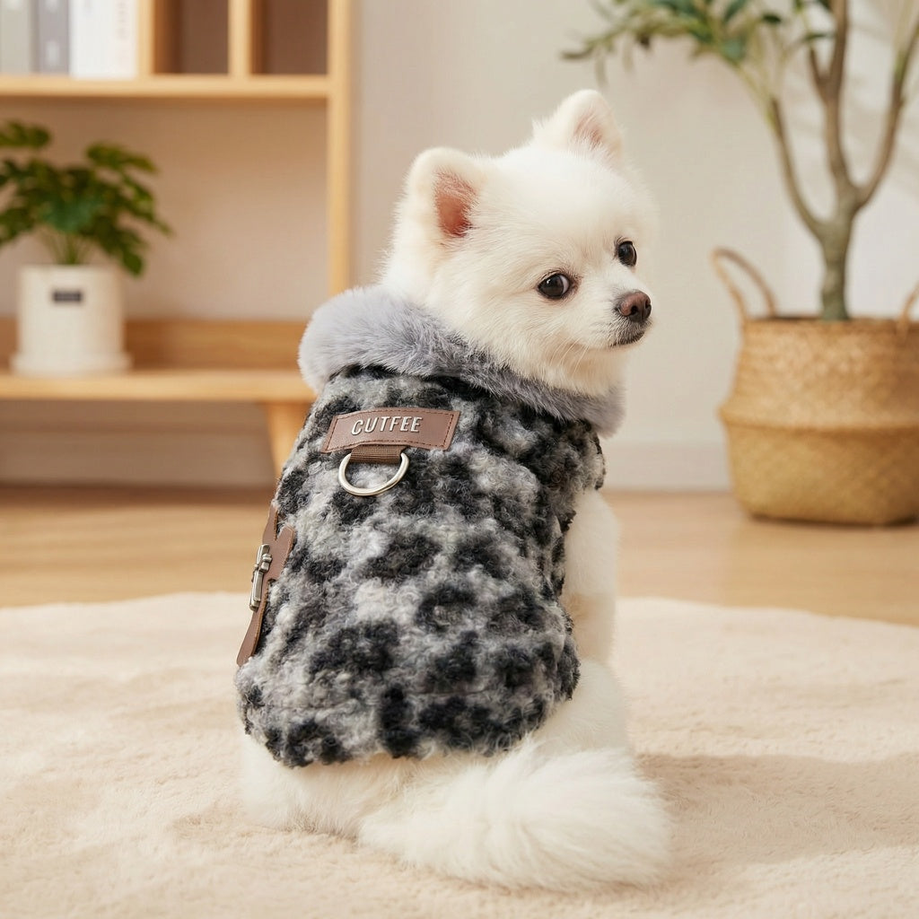 Small white Pomeranian wears a leopard fleece winter jacket with built-in leash ring in a cozy home setting.