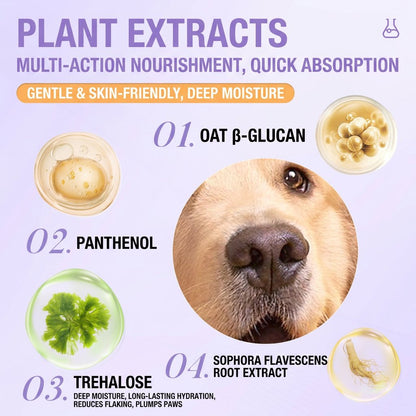 Plant extract infographic for paw and nose balm listing oat beta-glucan, panthenol, trehalose, and Sophora root.