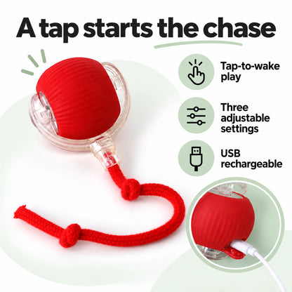 Cat ball features: tap-to-wake play, three adjustable settings and USB charging.