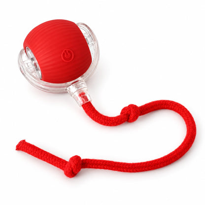 Red interactive cat ball with clear side housings and a matching knotted rope tail.