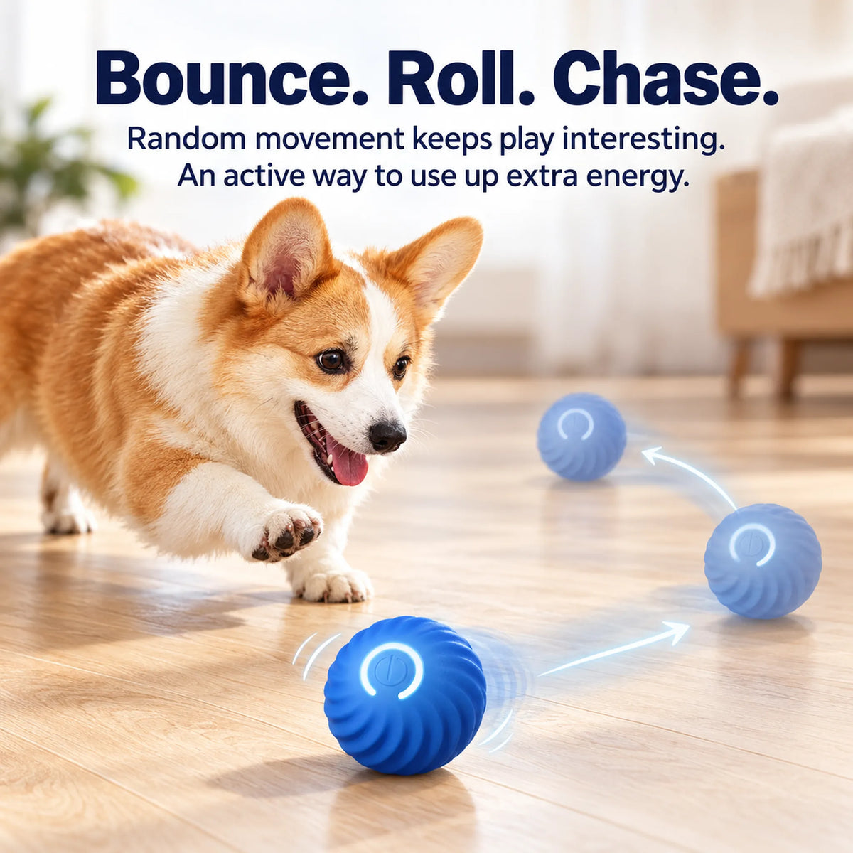 Corgi chasing a blue bouncing ball with translucent motion positions showing a rolling and bouncing path
