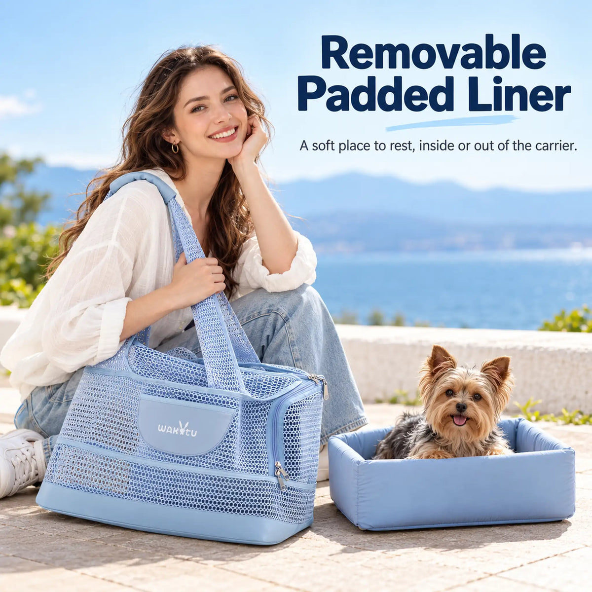 Yorkshire Terrier resting in the removable blue padded liner beside the mesh shoulder carrier