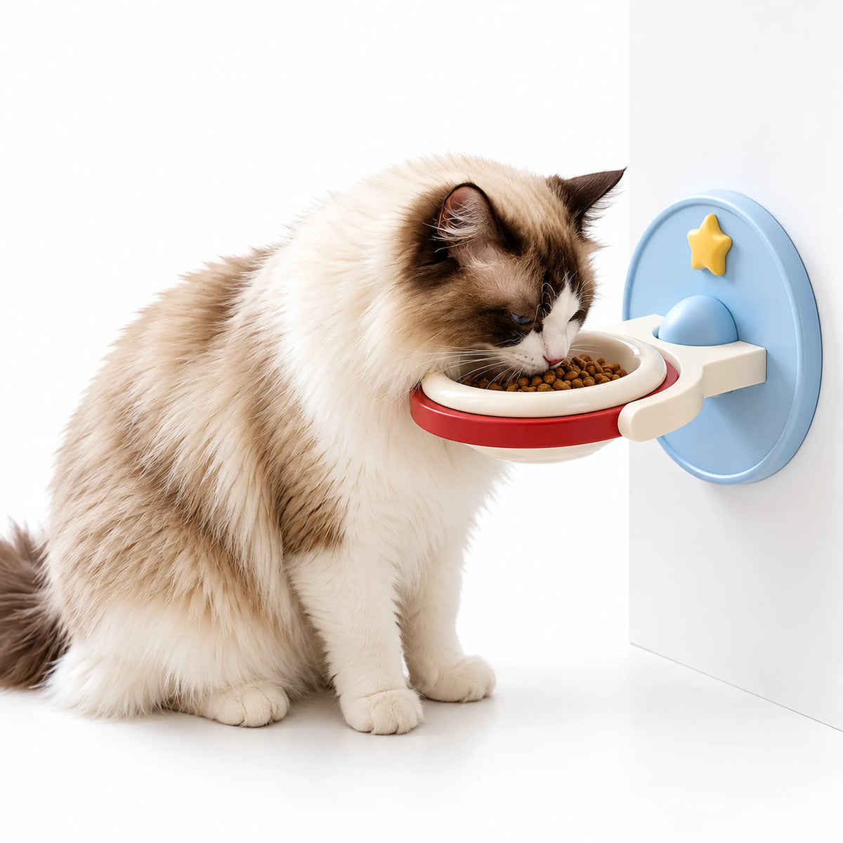 Ragdoll cat eating from a red and blue wall-mounted ceramic pet bowl on a white panel