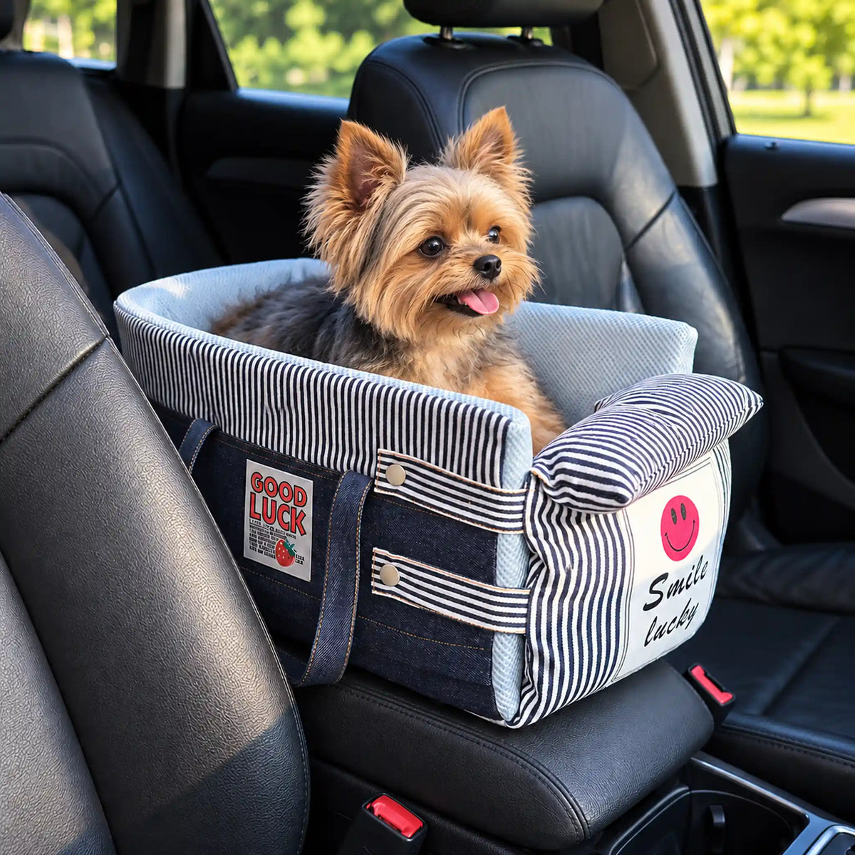 Yorkshire Terrier resting in the denim blue pet bed mounted on a car center console between the front seats