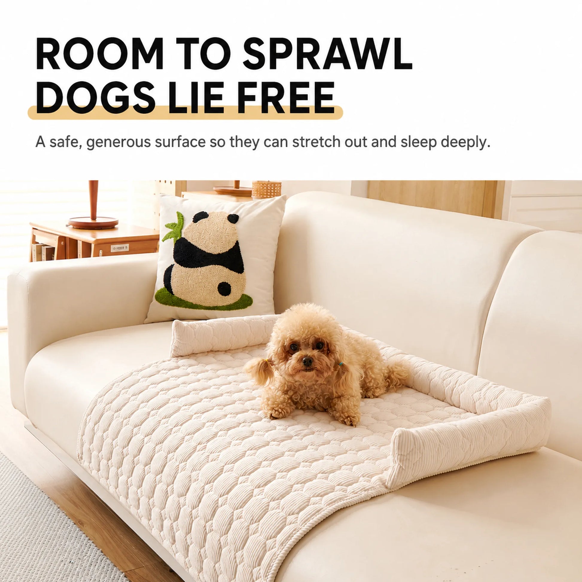Cream pet sofa cover with toy poodle showing roomy lounge space