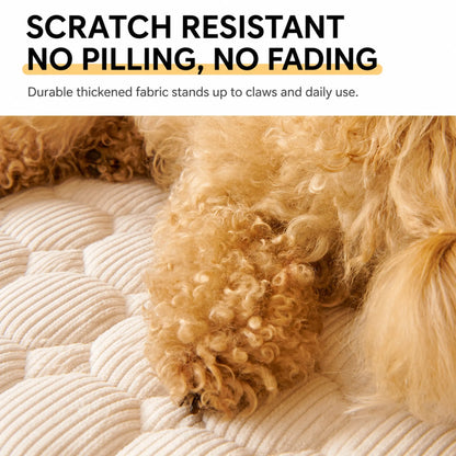 Toy-poodle paws resting on the durable quilted fabric