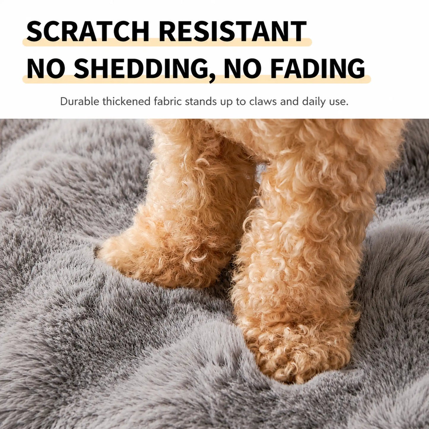 Toy-poodle paws standing on the durable plush fabric
