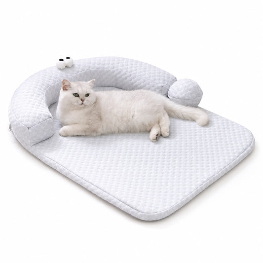Gray ice-bead cooling pet bed with bolster, British Shorthair cat lying on it on white studio background