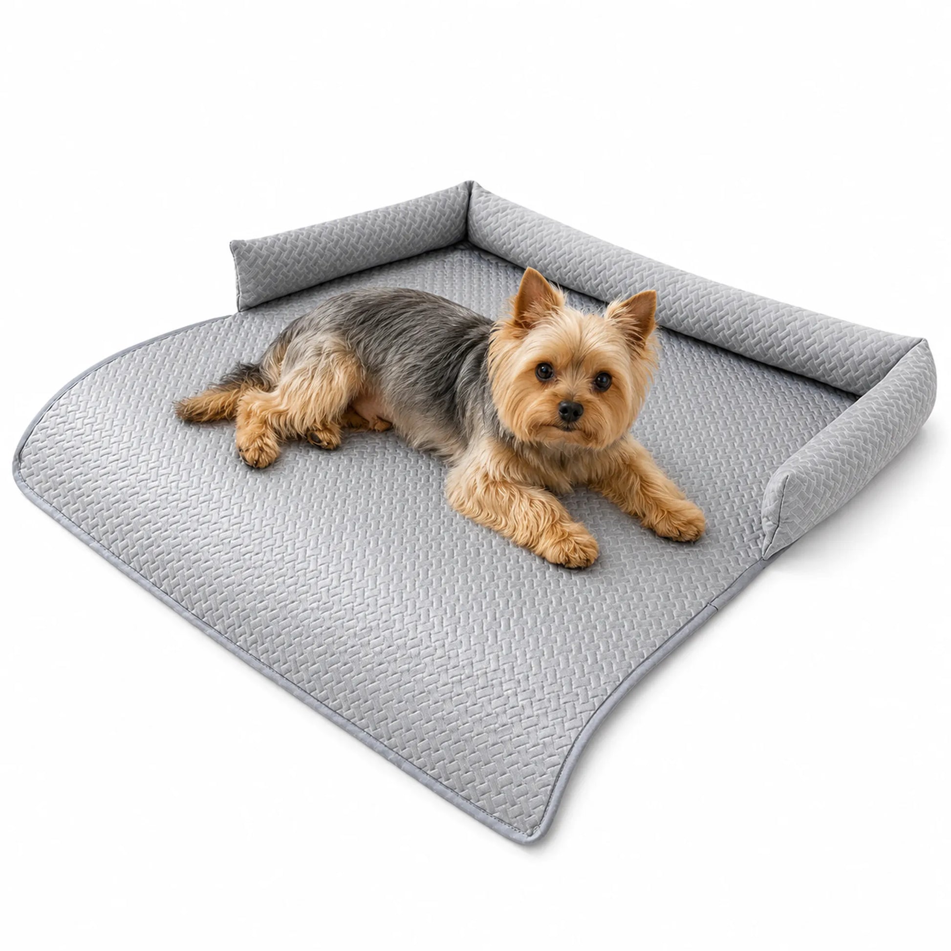 Gray ice-silk cooling pet sofa cover with bolster, Yorkshire Terrier lying on it on white studio background