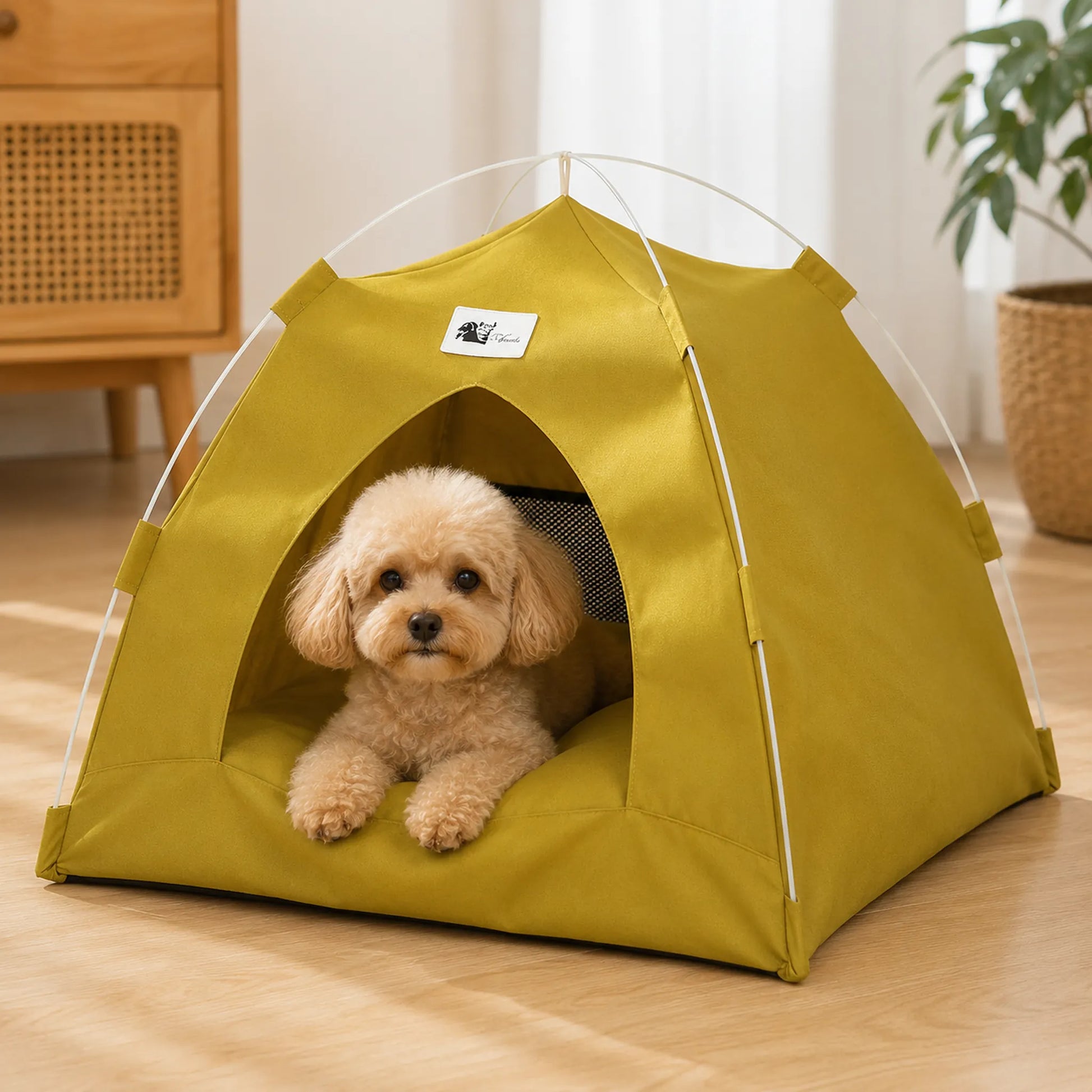 Small dog resting inside an olive green foldable pet tent bed in a clean indoor room