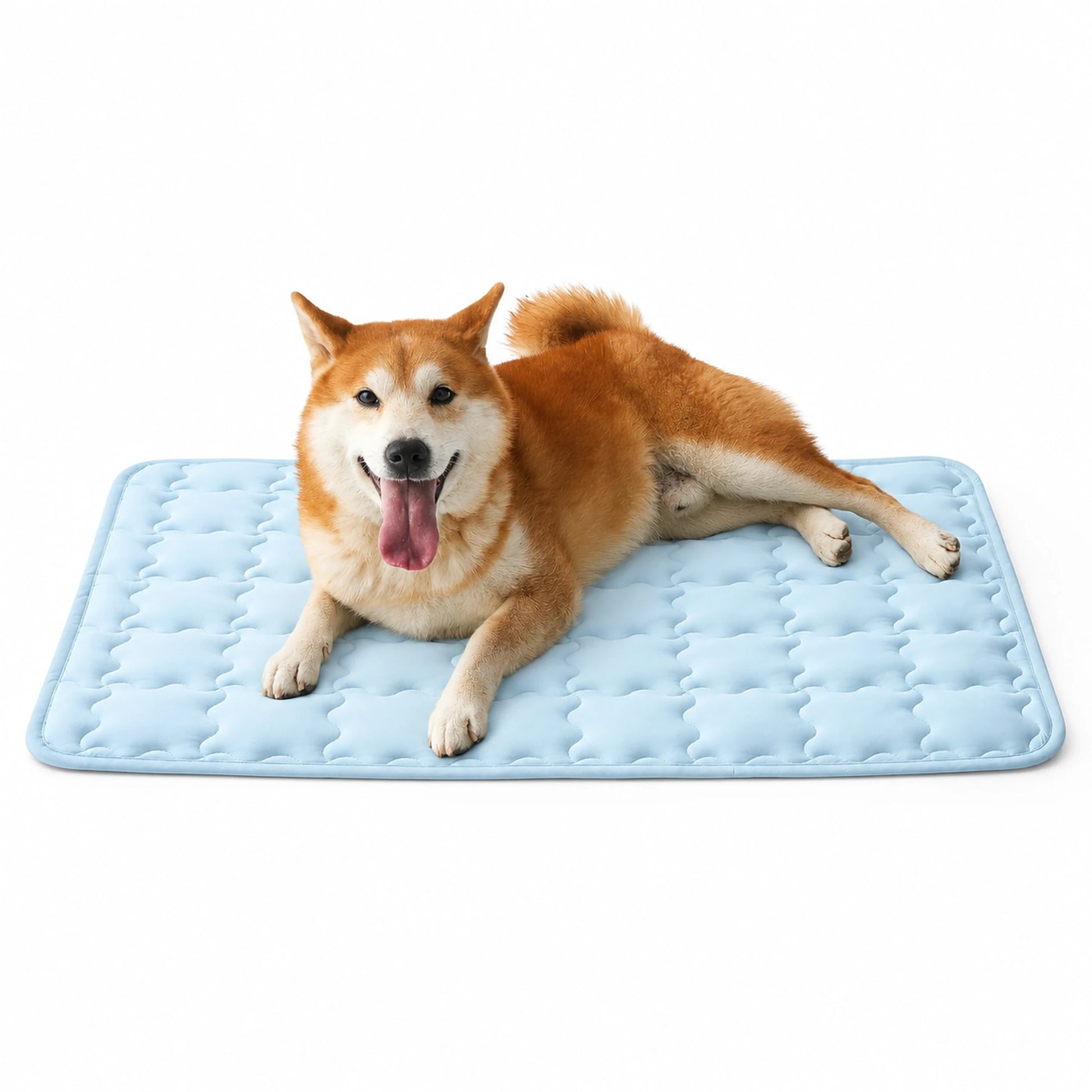 Dog resting on an ice blue cooling pet mat on a clean white background