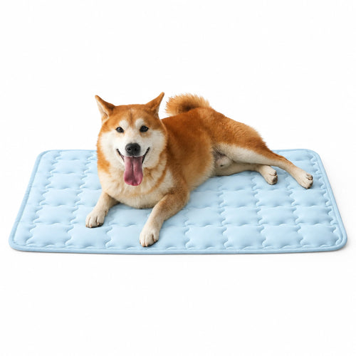 Dog resting on an ice blue cooling pet mat on a clean white background