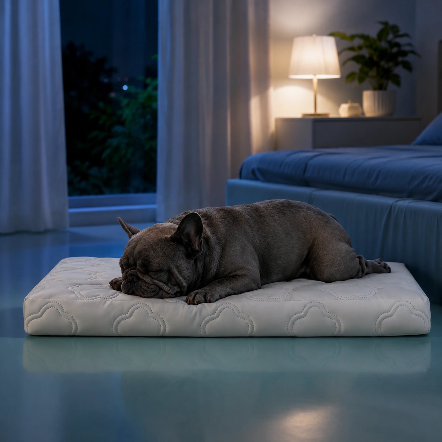 Dog resting on a cooling support mattress in a calm bedroom at night