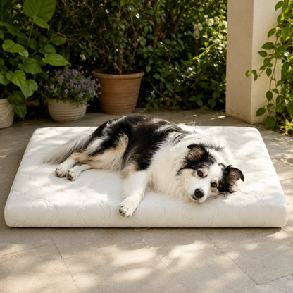 Dog resting outdoors on a cloud white cooling support mattress