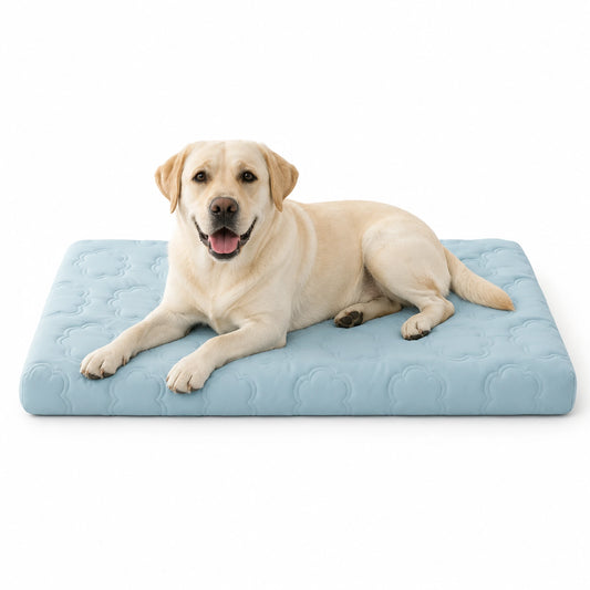 Labrador resting on an ice blue cooling support dog mattress with thick foam profile