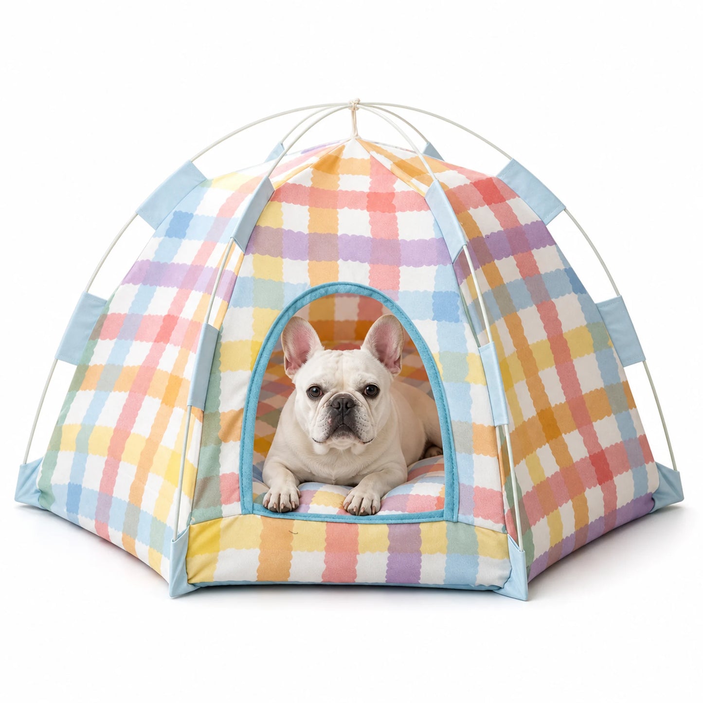 White French Bulldog resting inside a Pastel Plaid foldable pet tent bed
