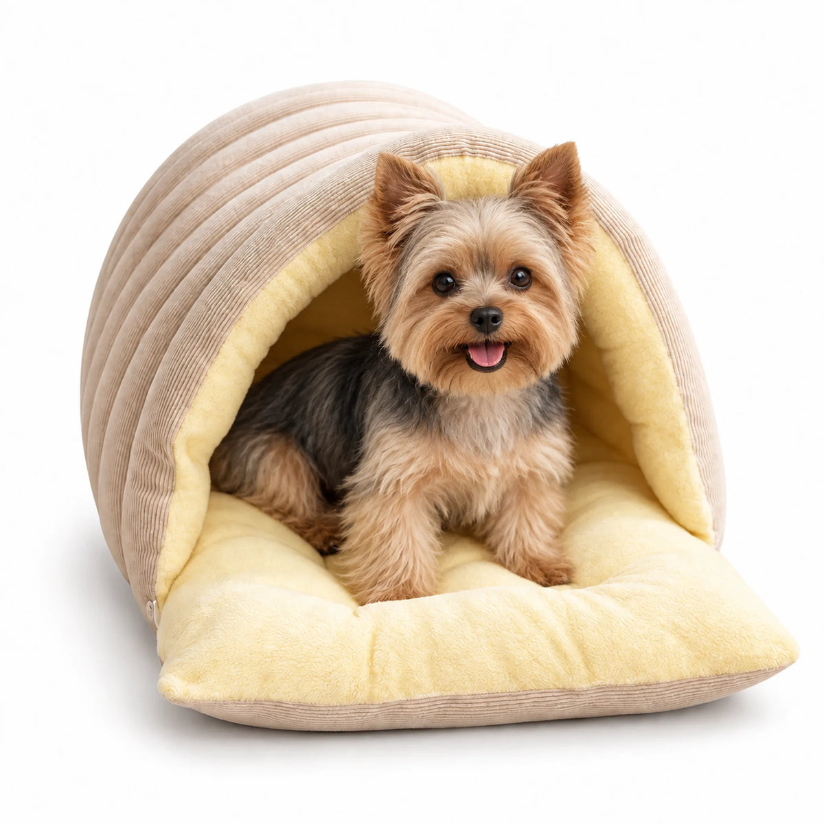 Yorkshire Terrier sitting in a beige covered pet bed with the plush front unfolded.