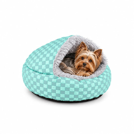 Yorkshire Terrier resting in a blue-green checkerboard shell pet bed with grey long-pile lining on a white background.