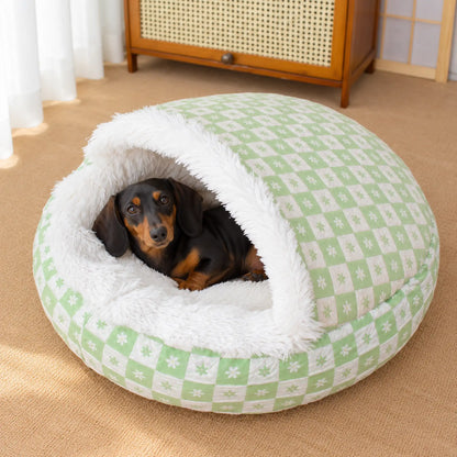 Black and tan Dachshund resting under the green daisy-check pet bed hood in a bright living room