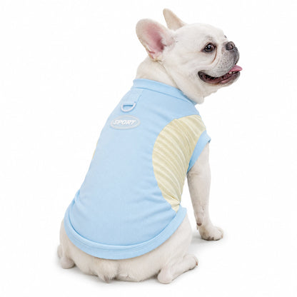 White French Bulldog wearing blue and yellow cool-touch pet T-shirt with SPORT back patch