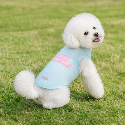 Small white dog wearing sky blue cooling vest on grass